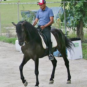 Meet your Posher, Rojas